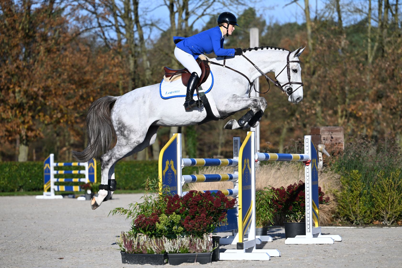 COLD SUMMER Z - Sky is the limit for this striking daughter of